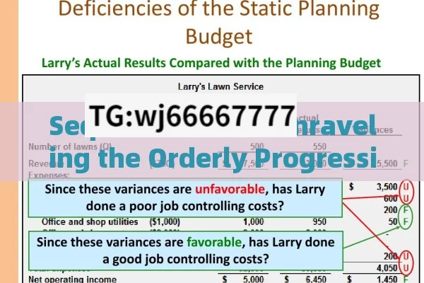 Sequence Rules: Unraveling the Orderly Progression in Our Daily Lives - An In - Depth Exploration